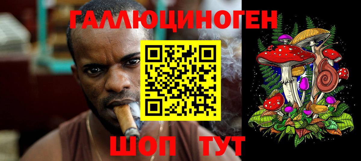 Галлюциногенные грибы ЛСД Михайловка